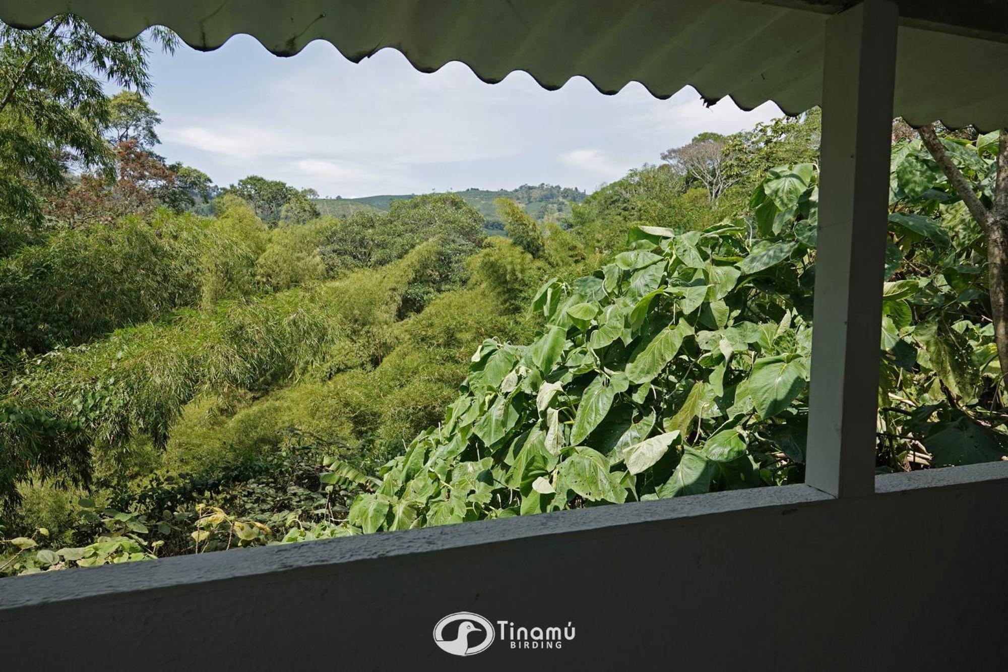 Tinamu Birding Hotel La Manuelita Exterior photo