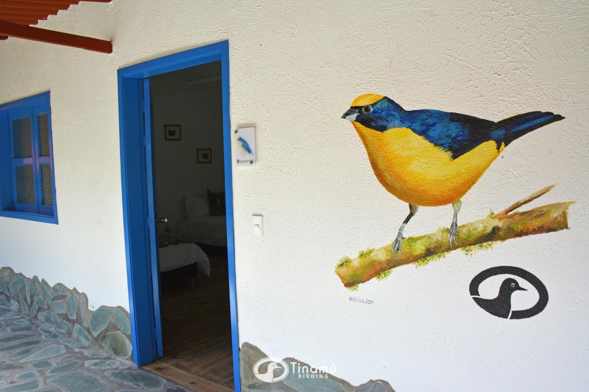 Tinamu Birding Hotel La Manuelita Exterior photo