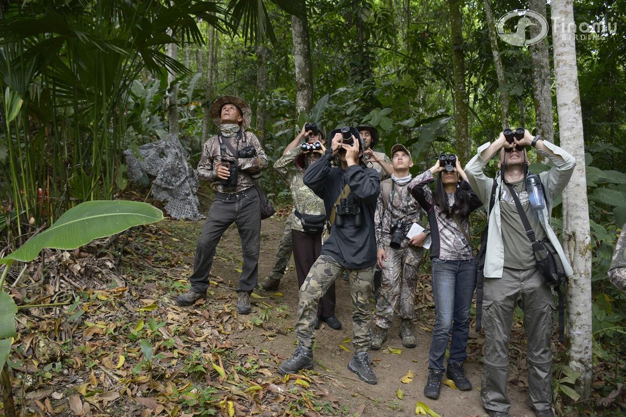Tinamu Birding Hotel La Manuelita Exterior photo